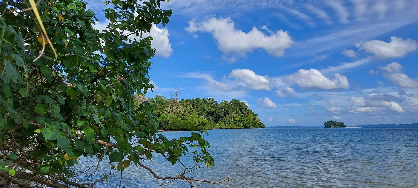 Red Skin Island Tour 2026 | MV WaveRider Boat Booking